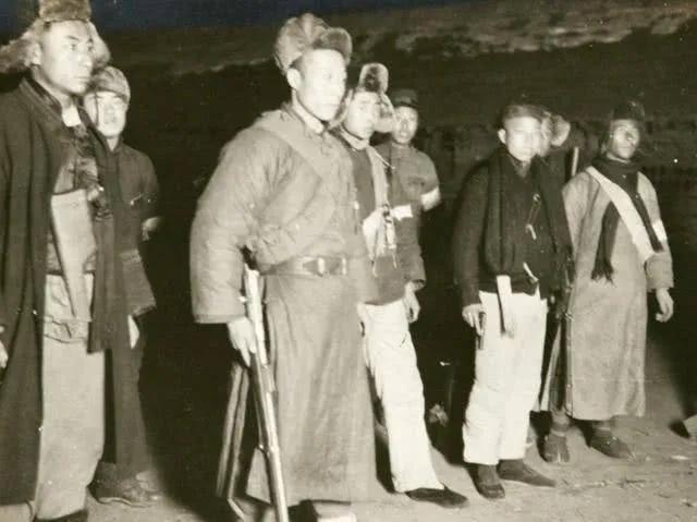 老蔡最新，科技、创新与发展的多维视角探讨