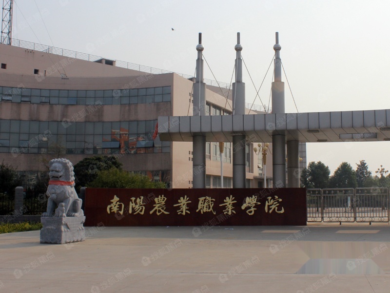 南阳田源新城动态更新——变化中的力量，自信与成就感的源泉