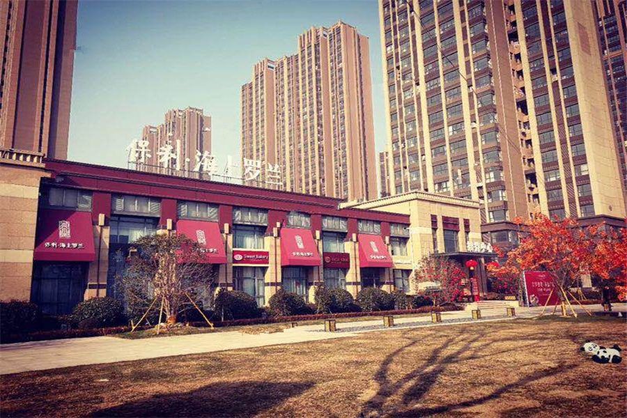 连云港保利最新动态更新，最新进展与资讯汇总