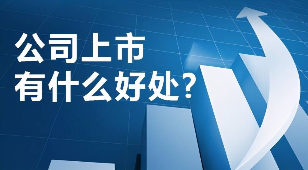 上市公司，背景、历程与时代印记的探究