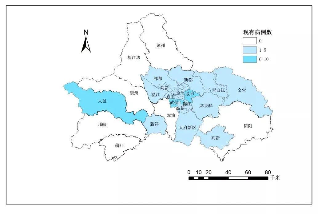 最新病例地图，揭示疾病分布与防控策略的新视角观察