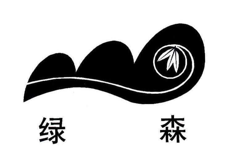 绿森最新，背景、重要事件与时代地位的追溯与解析