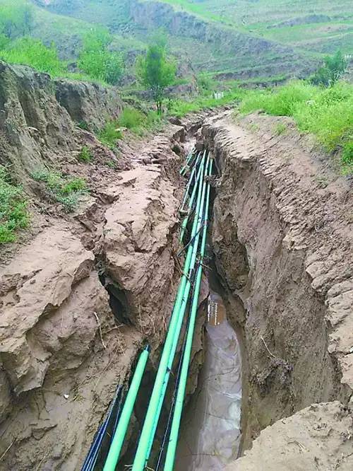 子洲暴雨最新动态，影响及各方观点与立场解析