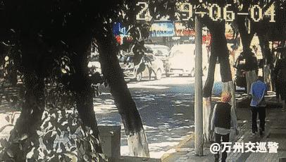 万州最新动态，自然美景之旅，探寻内心平和的旅程