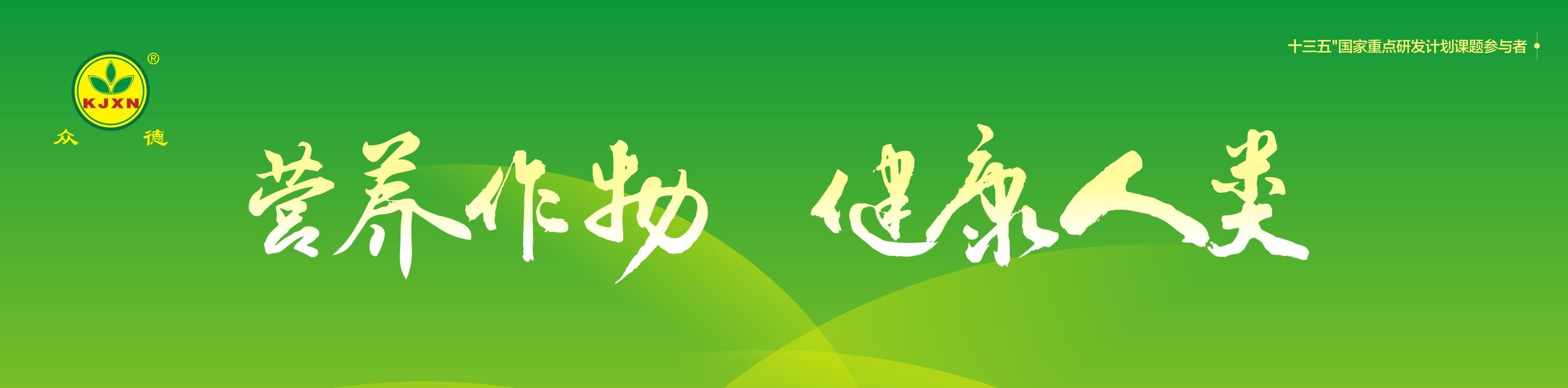 尿素行情，小市场波动与家的温馨关怀