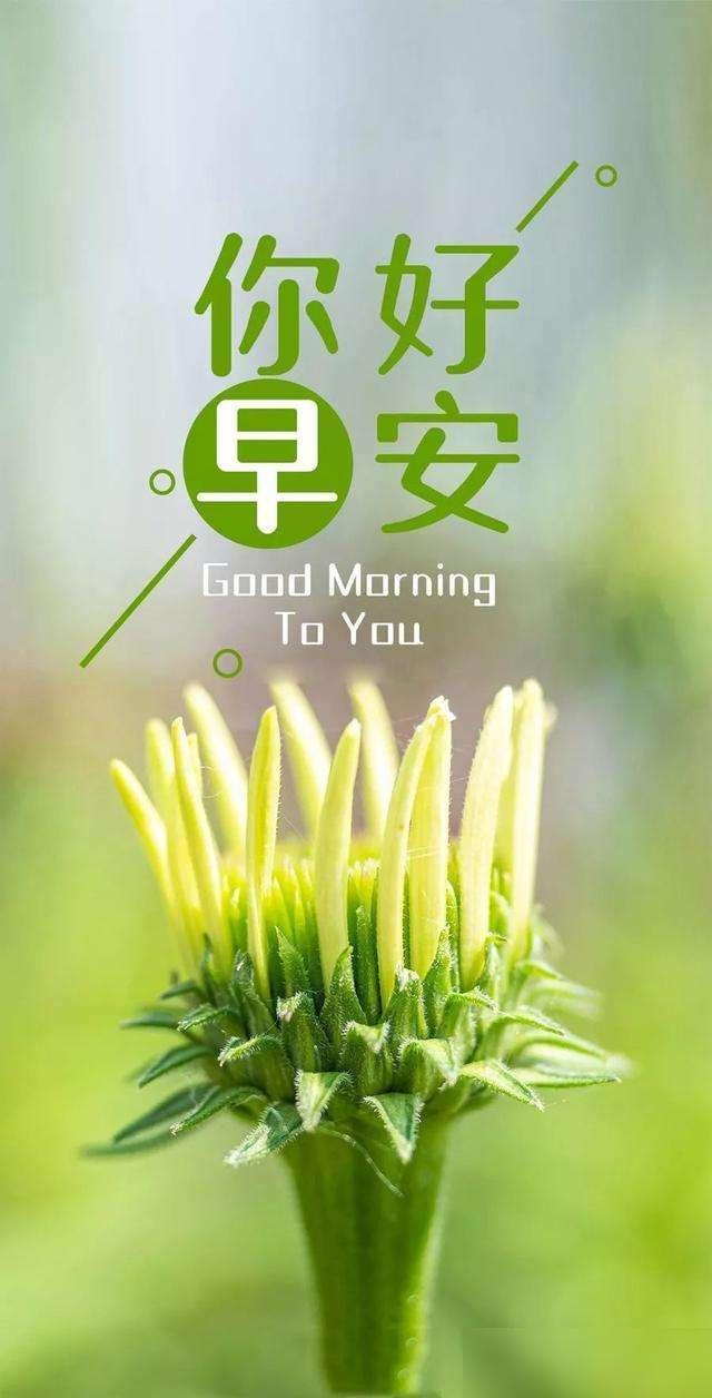 最新早晨朋友圈问候语，开启温馨一天的启程启示