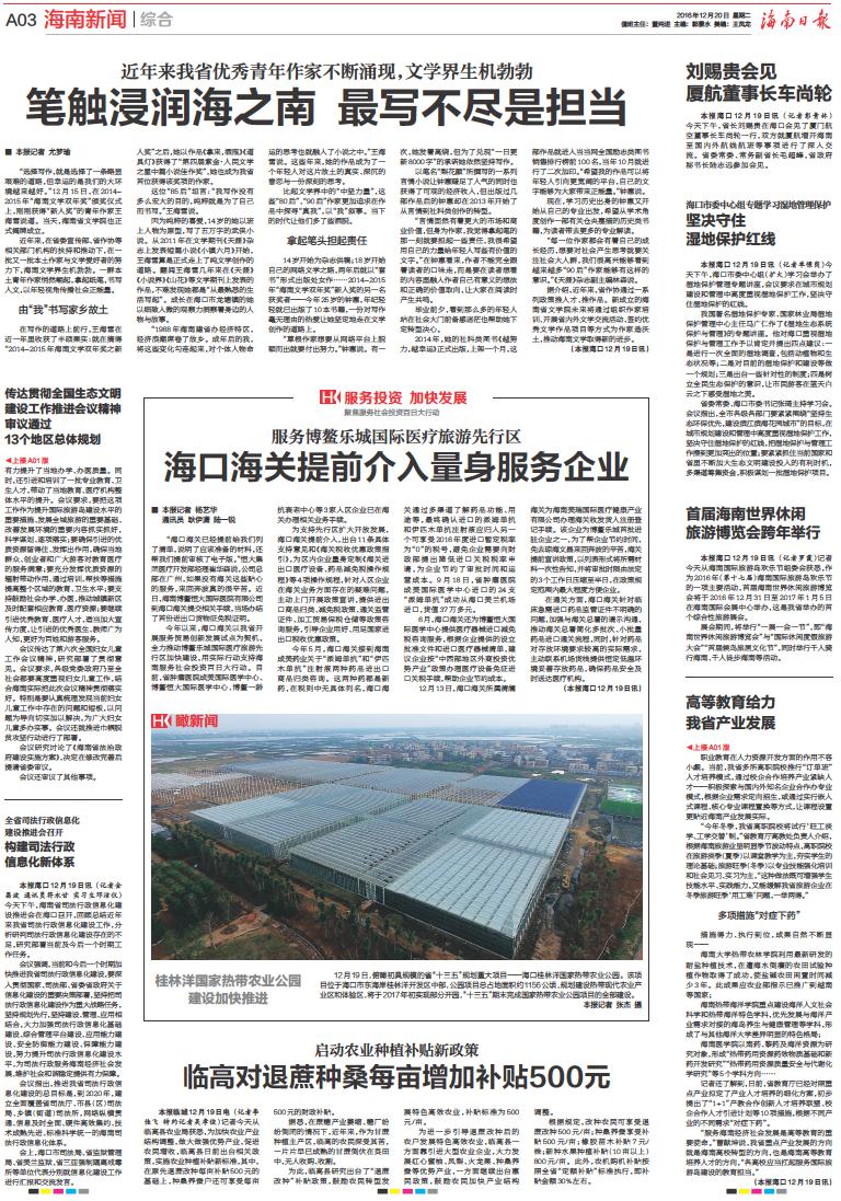 海南新闻速递，热带宝岛最新动态与发展趋势概览