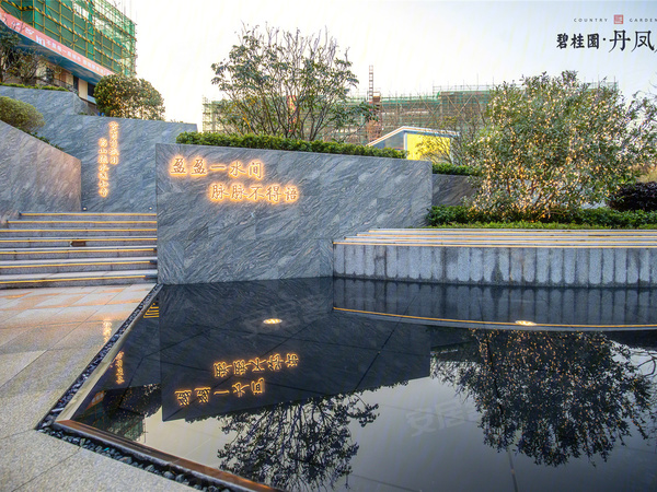 始兴碧桂园房价揭秘，小巷特色小店背后的房价走势探索