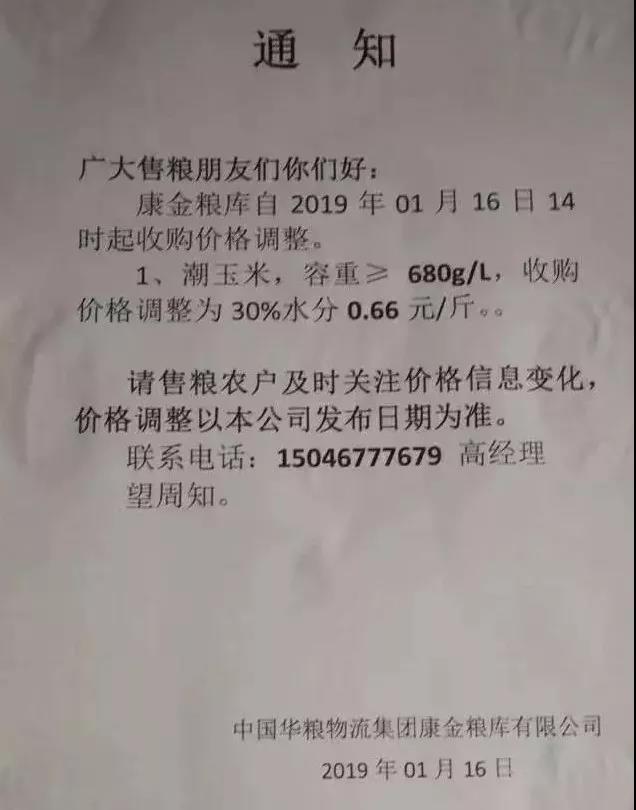 河北玉米价格最新动态——科技引领农业新篇章