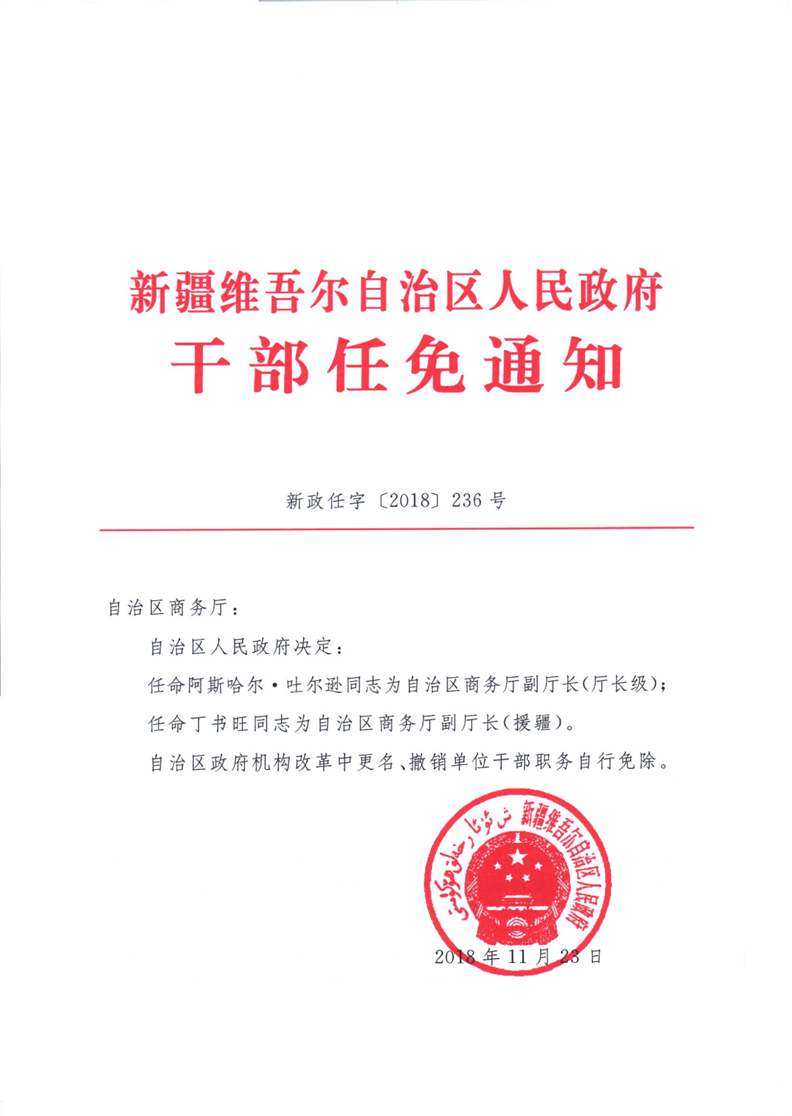 伊犁政府人事任免最新动态，自然美景与内心平静的探寻之旅