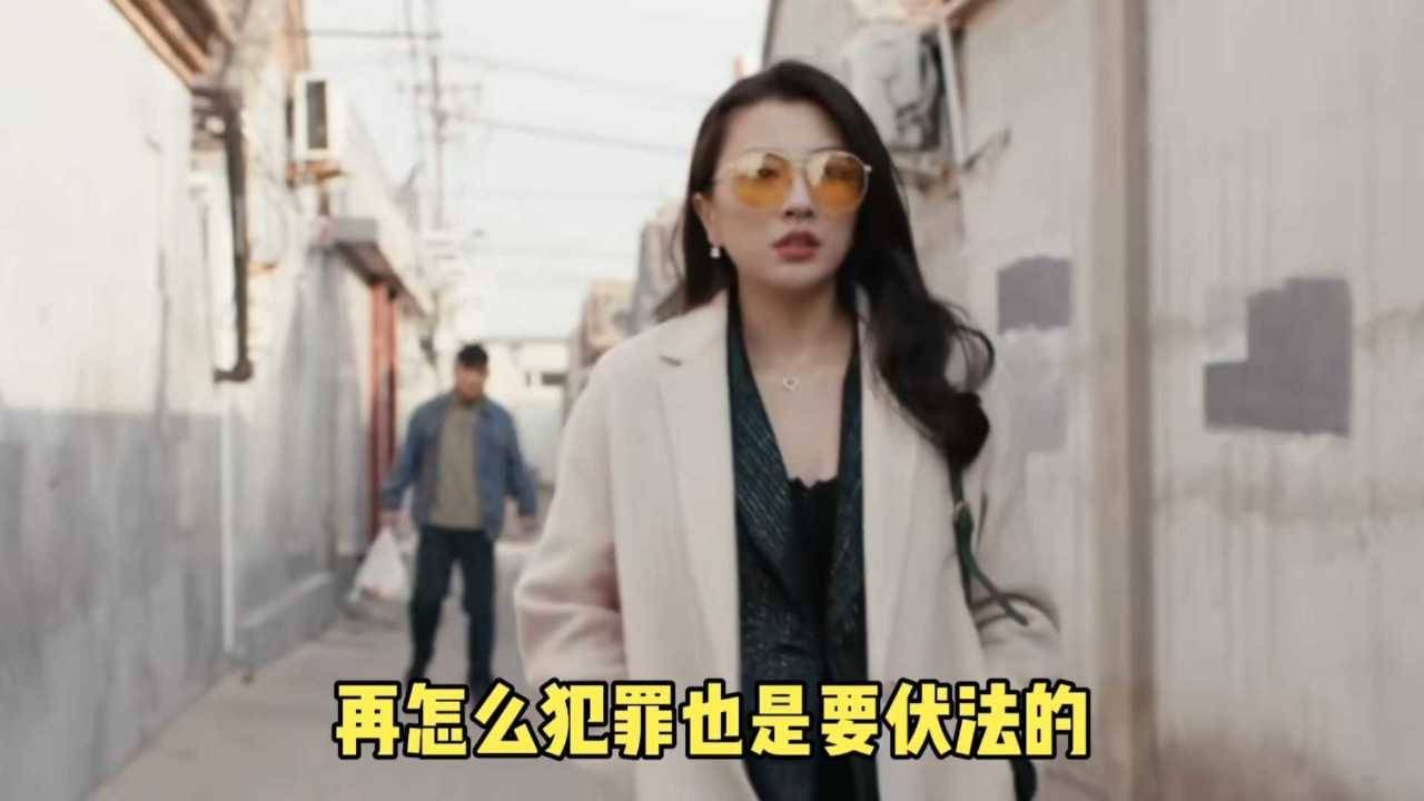 逍遥法外演员表,逍遥法外演员表——探究电视剧的星光璀璨