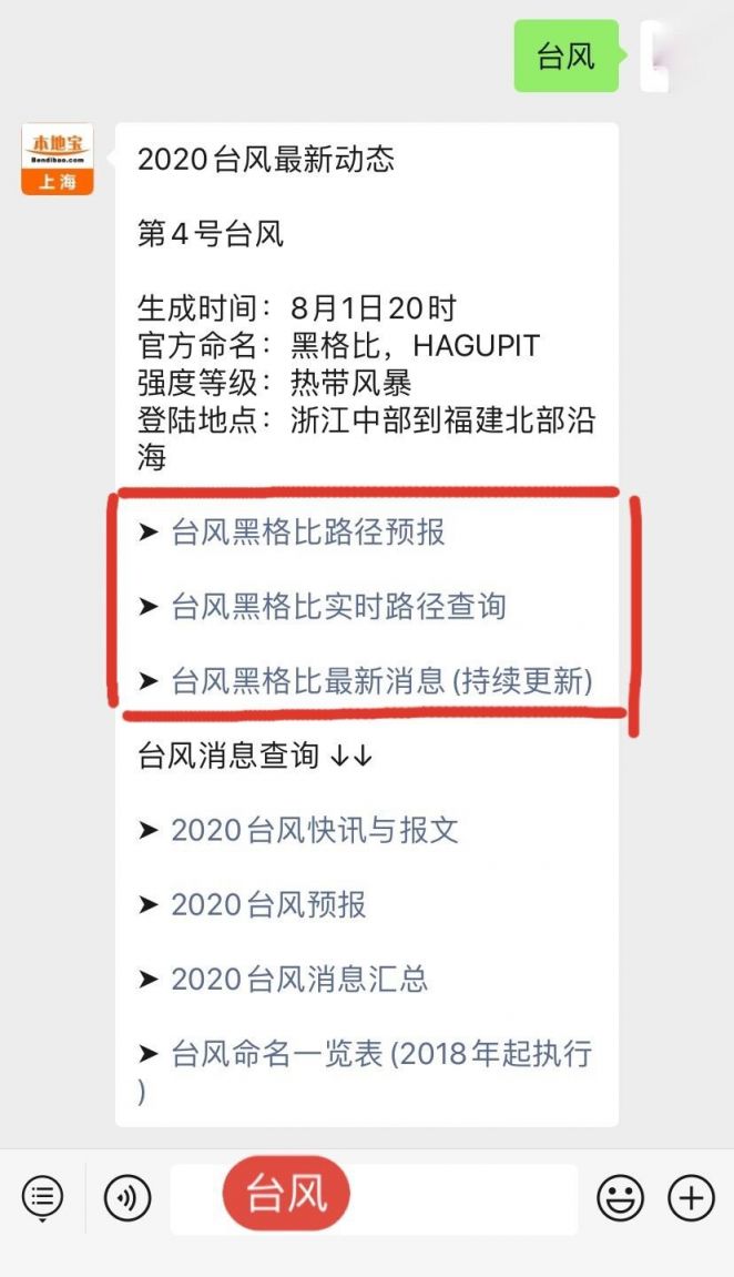 黑格比直播更新，多维度探讨与视听盛宴的变迁