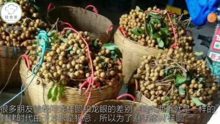 邯郸新鲜资讯，多元视角探讨城市发展与观点分享