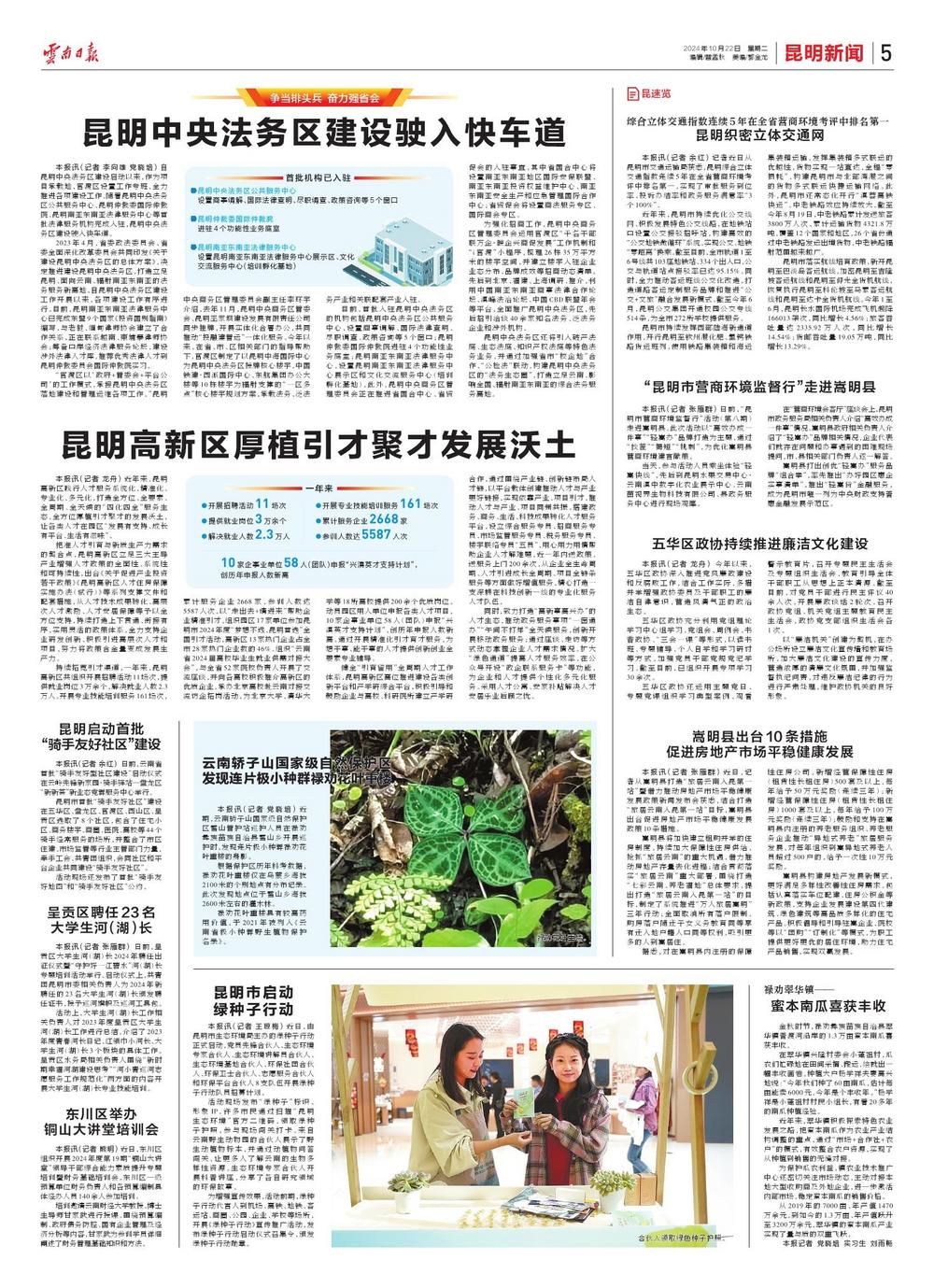 昆明新闻网最新资讯，多维度观点分析概览