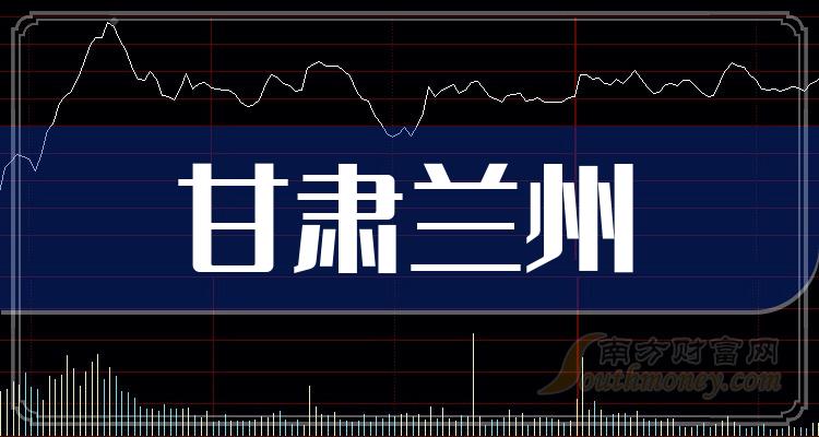 兰州上市公司名单，时代印记与影响力的展现