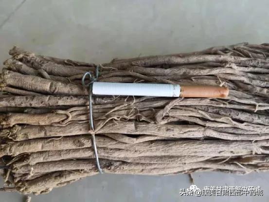甘肃黄芪最新市场价格概览，最新市场价格指南