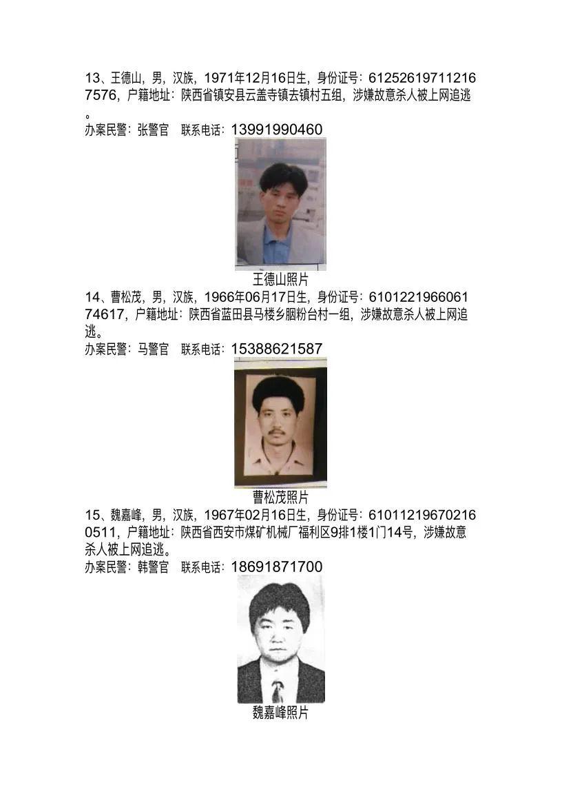 最新通缉案件详解，应对步骤指南（适用于初学者与进阶用户）