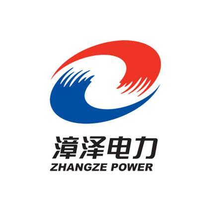 漳泽电力最新动态，小巷中的电力魅力与独特小店探索