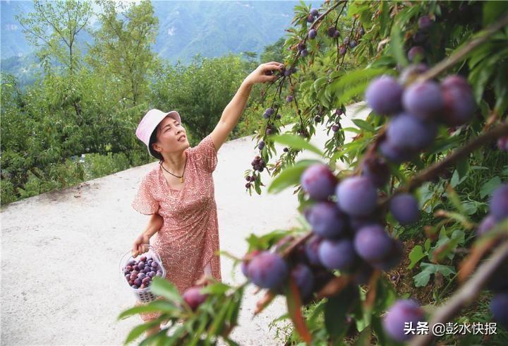 垭口价格深度解析及案例洞察