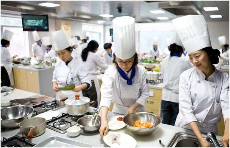 成都新开业酒店详解，全面了解与选择攻略