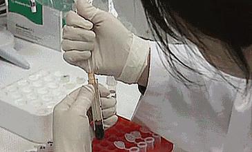 无创DNA检测价格详解，科普知识与选择指南