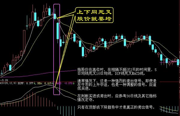 陌陌股价实时行情深度探讨