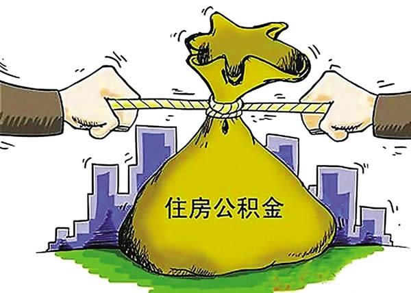 帮你管房最新,帮你管房最新，探索自然美景的治愈之旅