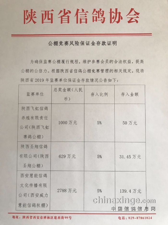 比赛保证金详解，确保公平竞争的财务保障措施