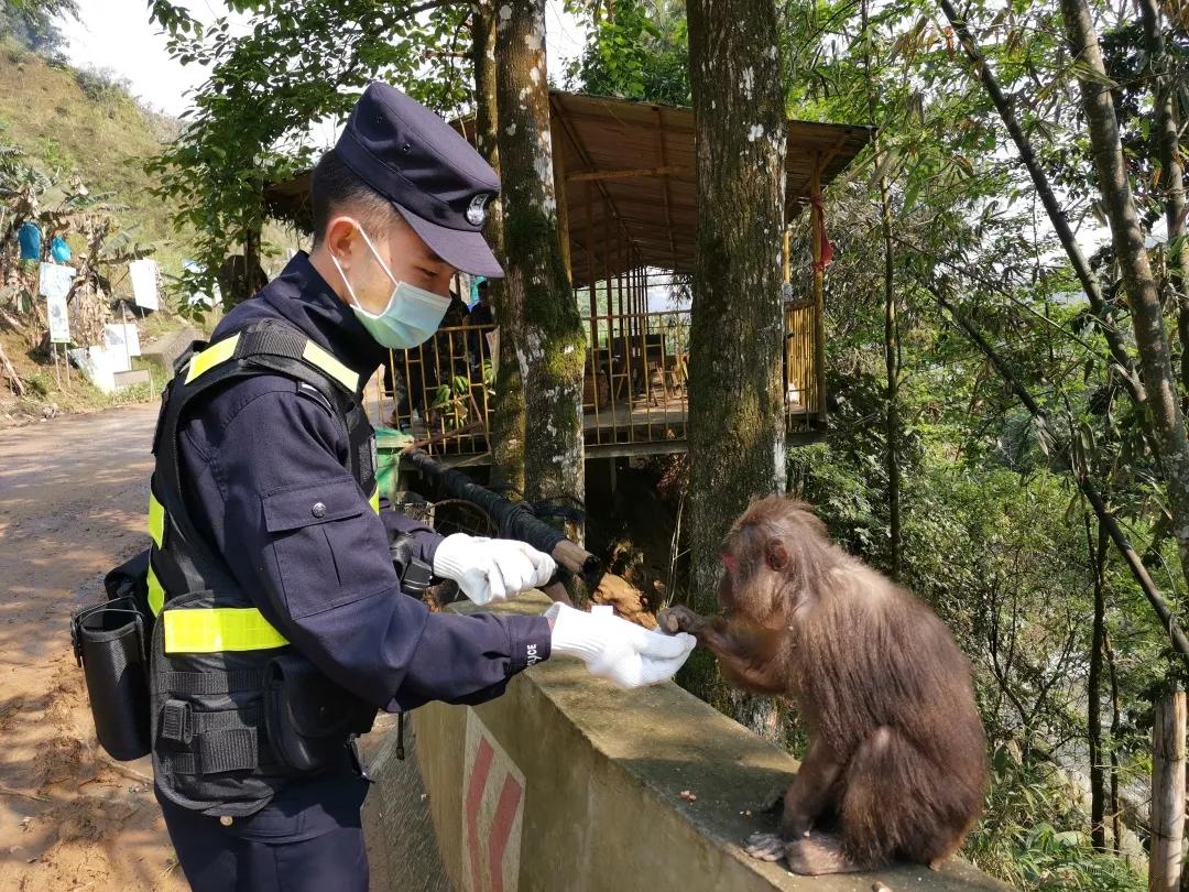 金河生物股票股吧深度解析及观点阐述