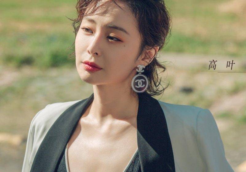 高叶,演员蜕变之路,电视剧中的璀璨之星