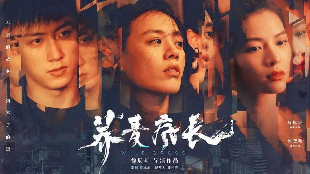 电影先生在线，免费观影之旅，温馨体验