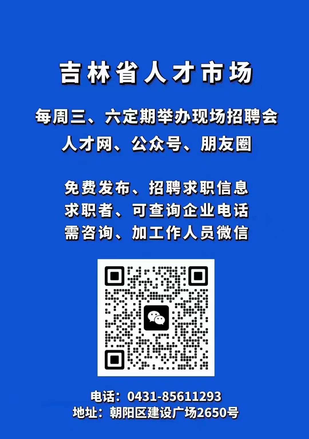 鸡西招聘网最新招聘信息汇总，观点论述与求职指南