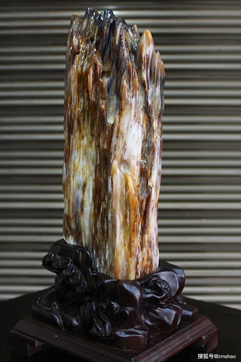 最新树化玉价格,一段友情与陪伴的温馨故事