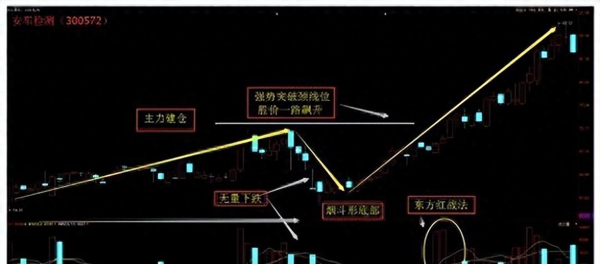 股票投资基础，入门指南与核心要素解析
