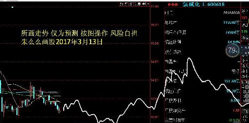 股票600618，心灵与自然的神秘之旅
