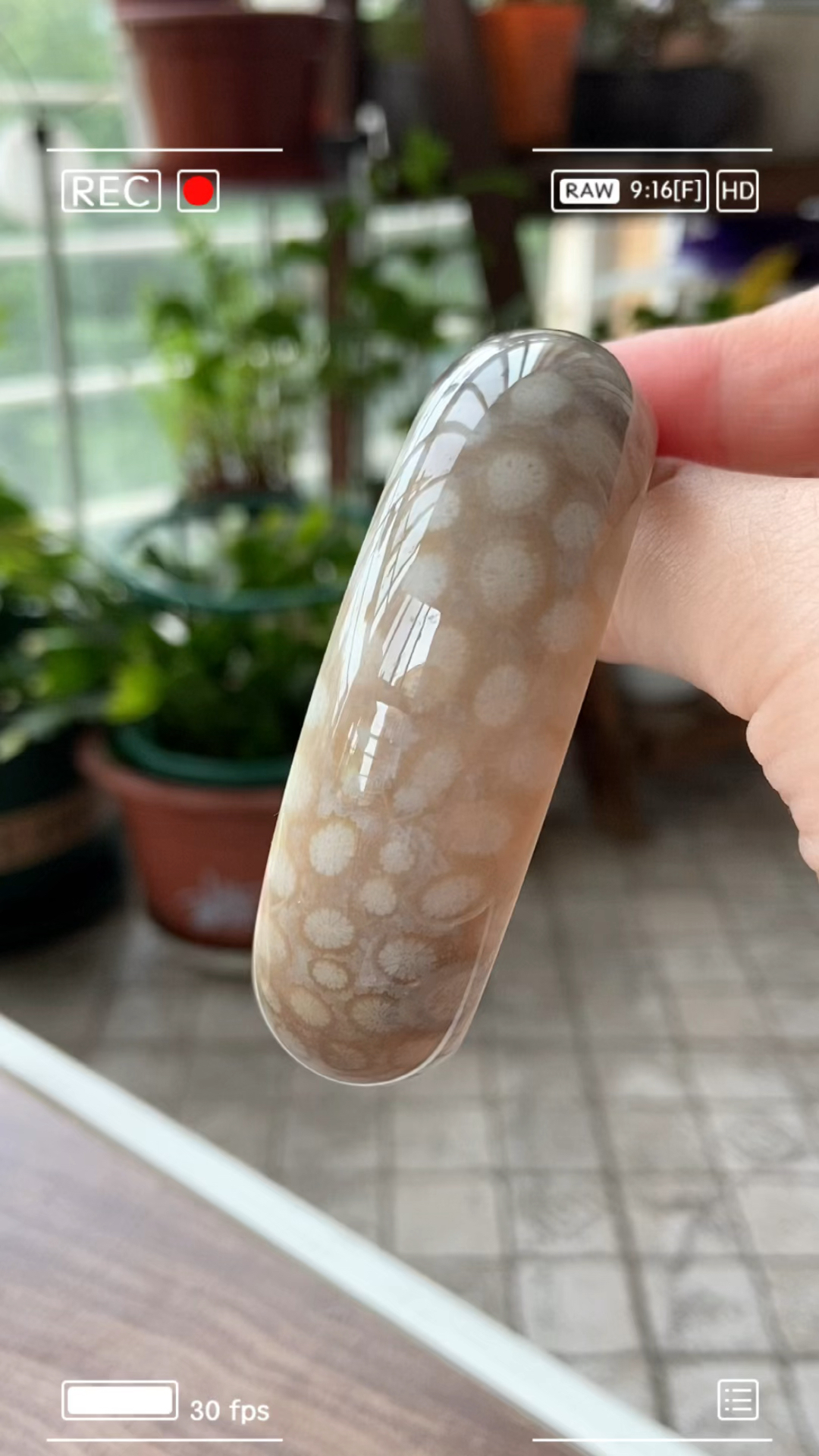 珊瑚玉行情解析，投资收藏指南
