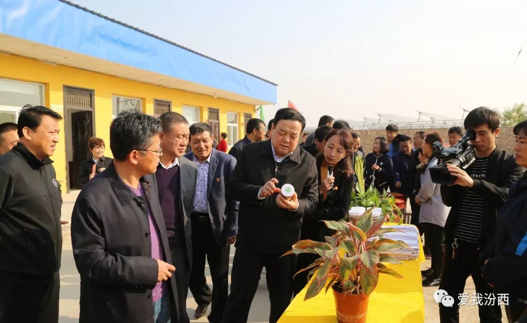 汾西贴吧最新动态更新速递