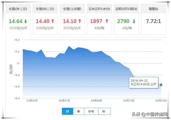海南巷弄美食探秘，风情万种的美味奇遇