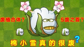 未来云南飞小鸡新版，探索新型养殖技术，小鸡飞翔之梦