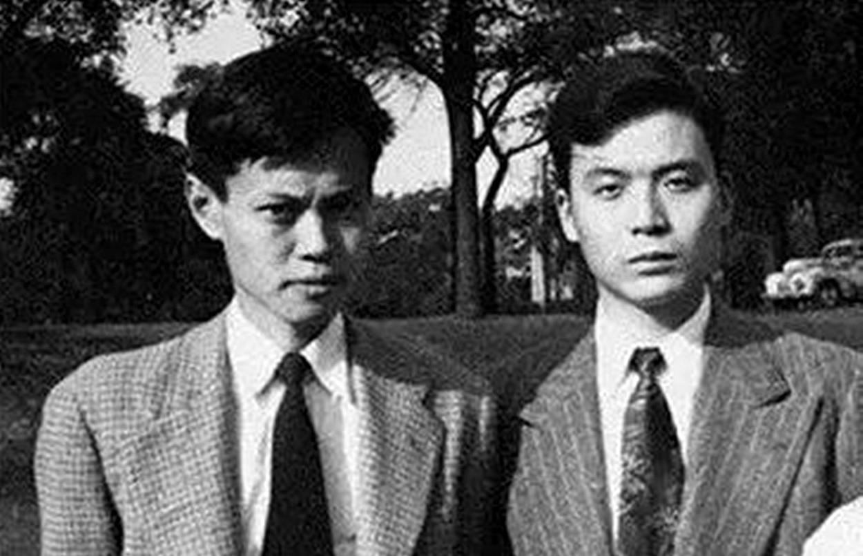 杨振宁最新资讯，小巷深处的独特故事探秘