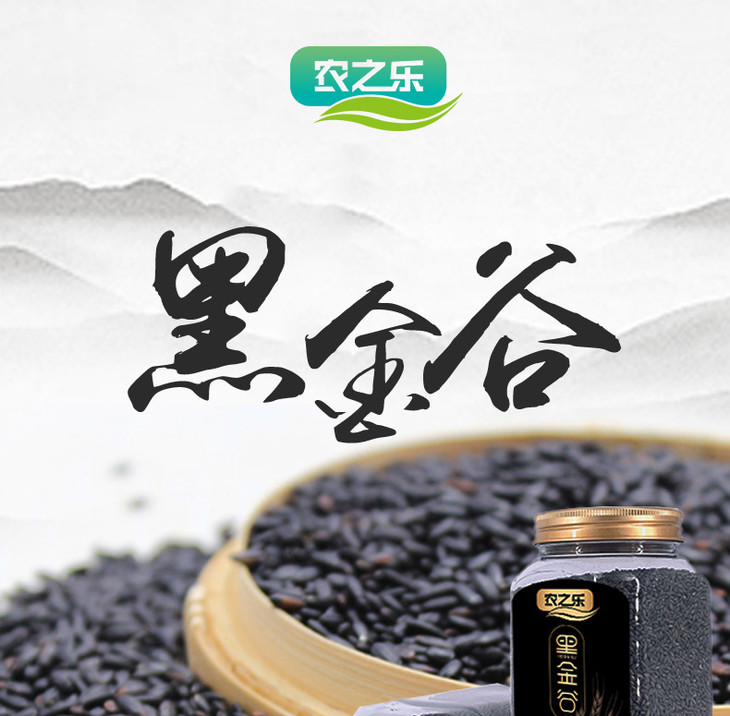 黑金谷价格行情，智慧与勇气的征程，激发正能量之战