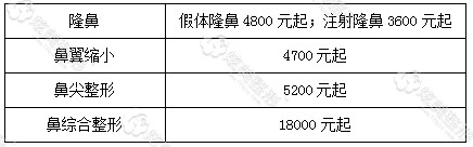 鼻子整容价格表，重塑自信，开启美丽人生之旅