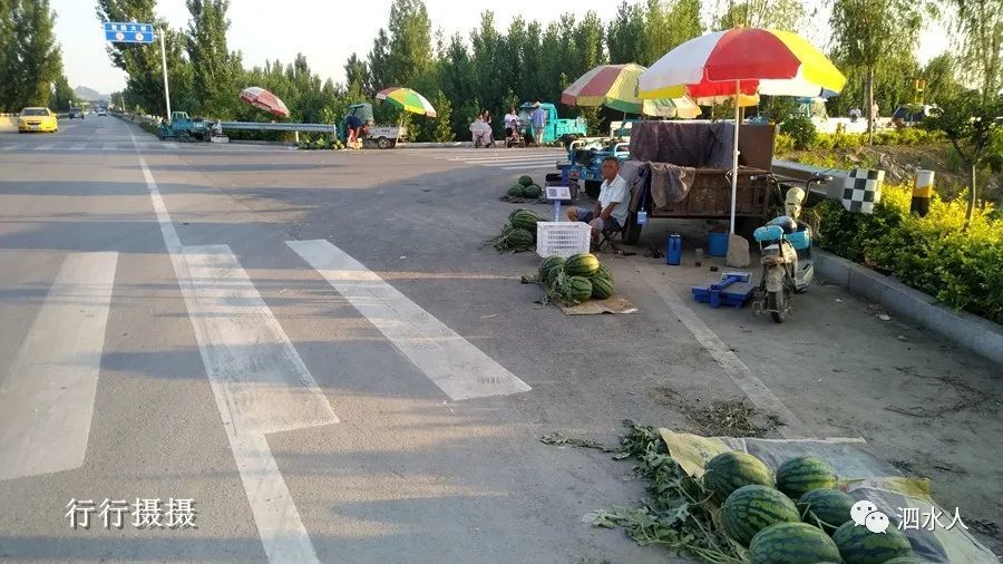 泗水土豆价格动态，变化中的机遇与成长潜力分析