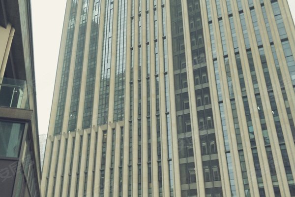 紫金一品房价深度解析与个人观点观察