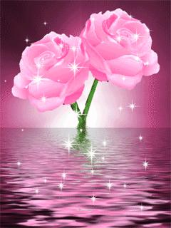 爱情动态更新,持续进阶的恋爱之路💖