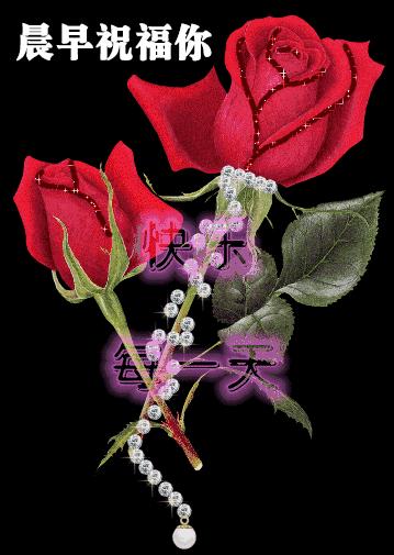 爱情动态更新,持续进阶的恋爱之路💖