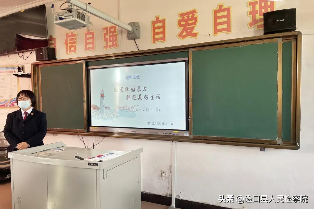 校园暴力视频曝光背后的秘密与小巷独特小店探索之旅