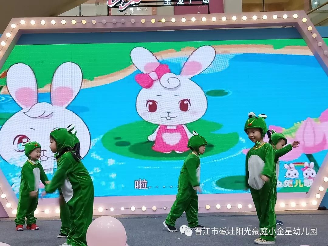小青蛙最新欢快舞步，跃动生命的韵律之美
