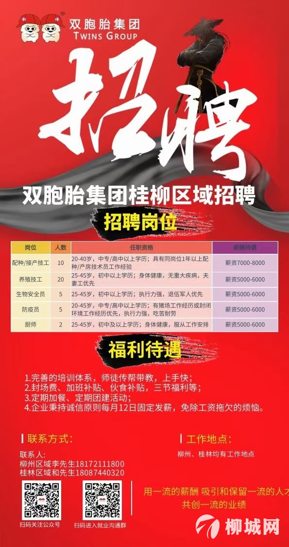 桂林司机招聘探秘，小杨的奇遇之旅