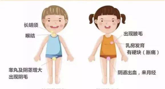 探索青春期最新变化与挑战，青春期的蜕变之路